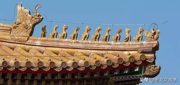 故宫成了动物园,故宫北京动物园