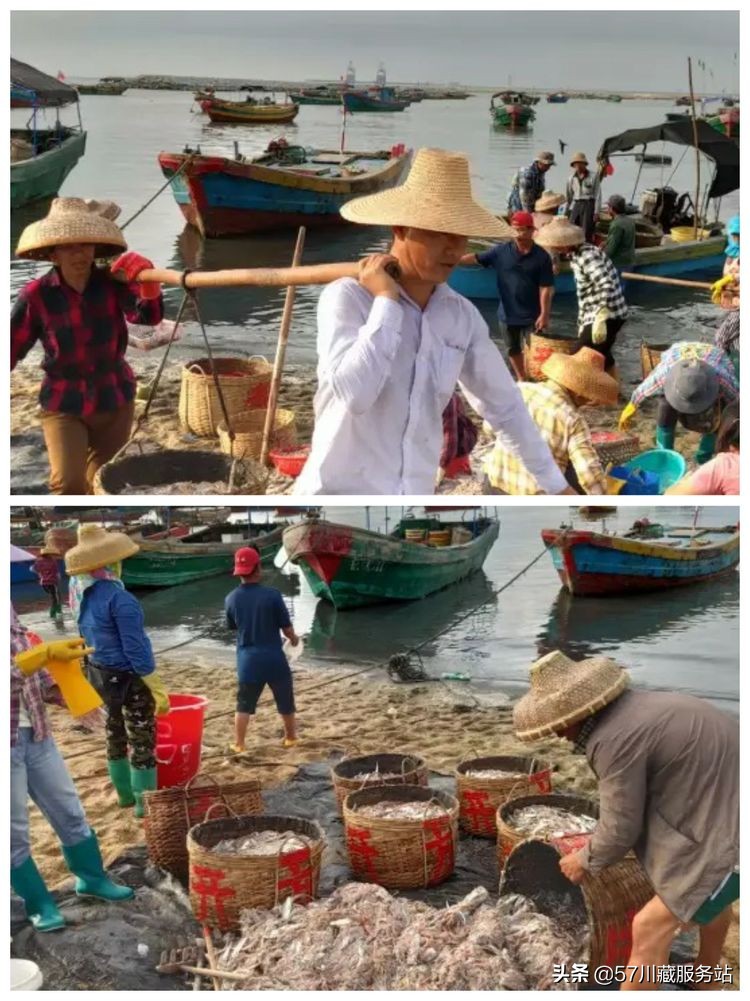 海南环岛骑行东线,海南西线环岛高速全程