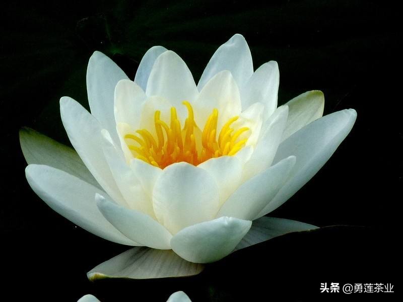 古今贤文劝学篇朗读,古今贤文增广贤文全文解读