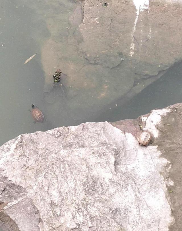 浙江台州河里钓鱼,浙江台州椒江区钓友