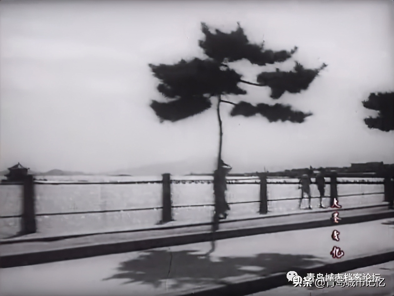 曾经在青岛拍摄过的少儿题材电影,青岛拍摄的儿童电影