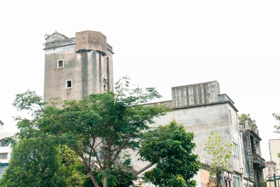 观澜有没有价值,观澜发展得起来吗