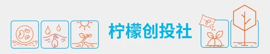魔芋食品的发展前景,魔芋产品市场前景