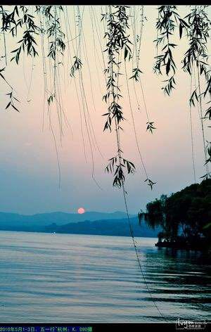 柳浪闻莺照片,柳浪闻莺曲谱