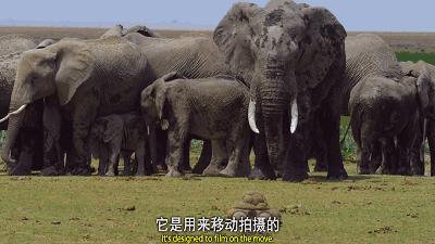 豆瓣9.8分悬疑大片,窥探电视剧豆瓣评分