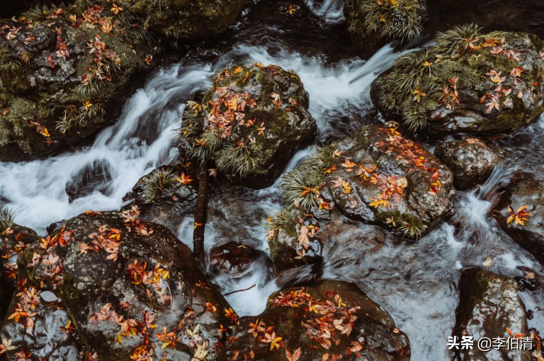 论耍，川A大军，世界第一！（内含免费耍福利）