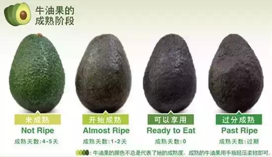 牛油果的骗局是真的吗,牛油果是不是一个骗局