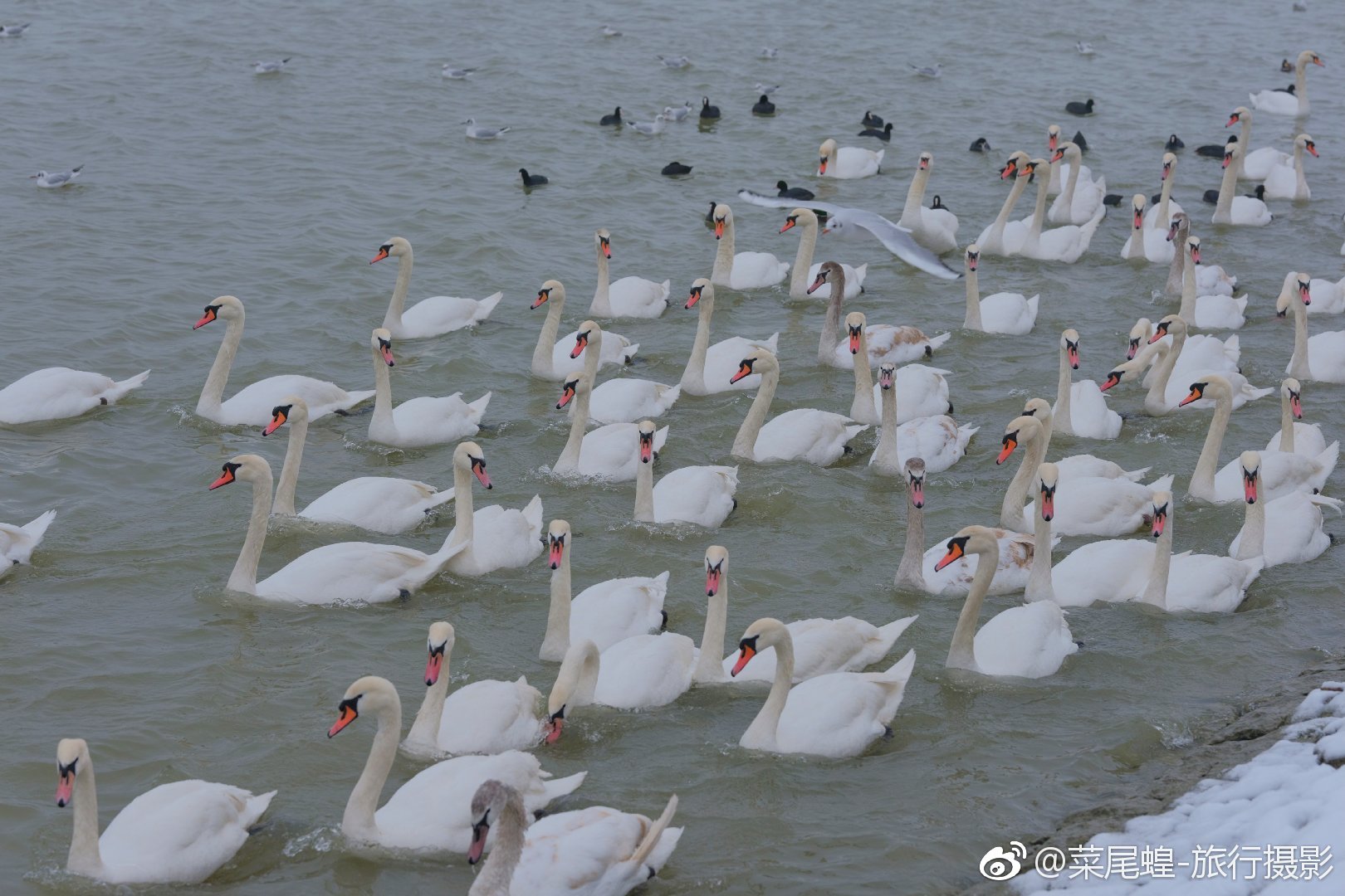 贝尔格莱德旅游免签,东欧冬天旅游攻略