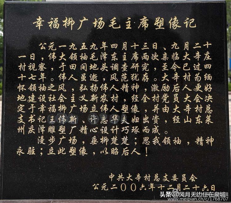 济南秋天的法国梧桐,济南一颗梧桐树