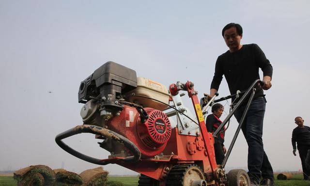 河南小伙好吃懒做,河南小伙放弃百万年薪回家种地