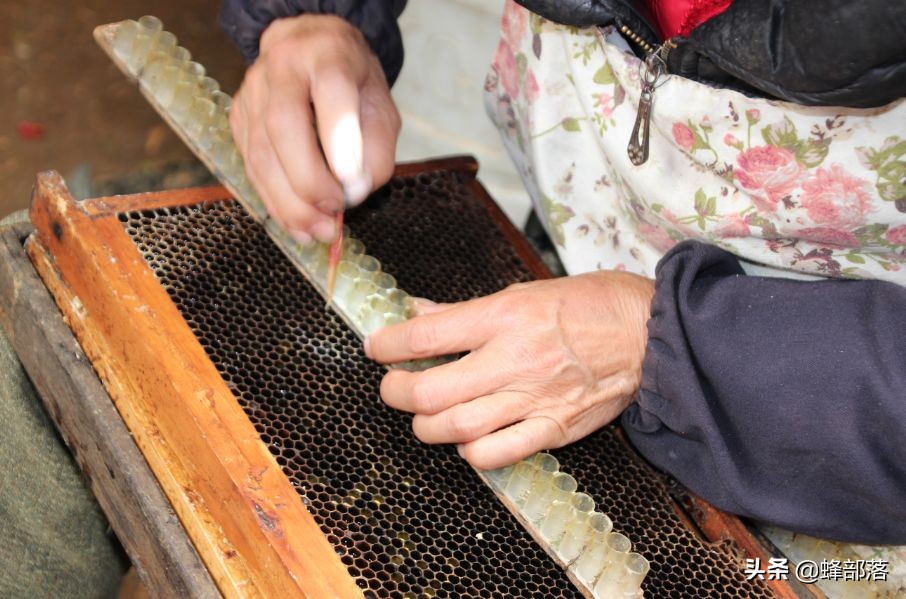 王台基是“圆形”的好还是“锅底形”的好?选对了,产量大增!