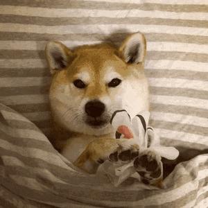 贵的维生素跟便宜的维生素的区别,吃几块钱的维生素有用吗