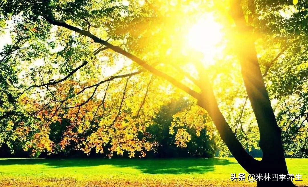 面对病毒,最好的办法就是增强免疫力,告诉你增强免疫力的方法