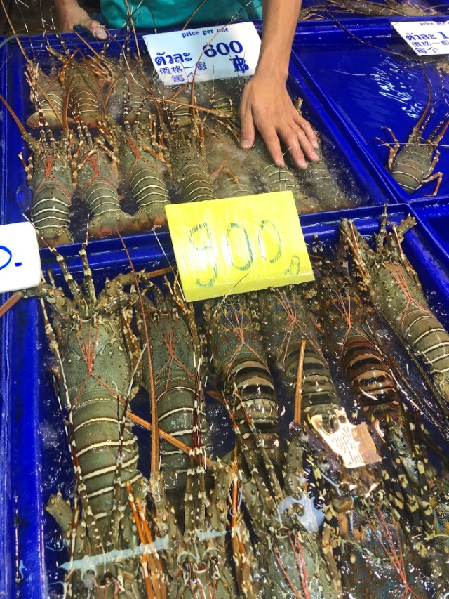 新年第一次去泰国旅游日记,新年旅行泰国