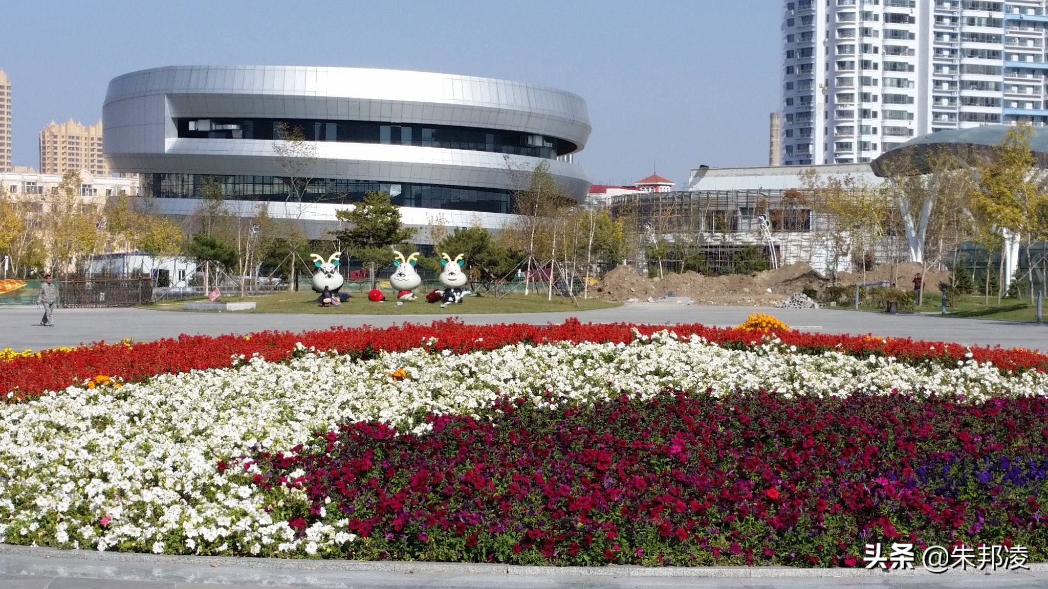 巨亏43亿!哈尔滨名校上市公司“挂羊头卖狗肉”?曾遭刘姝威炮轰