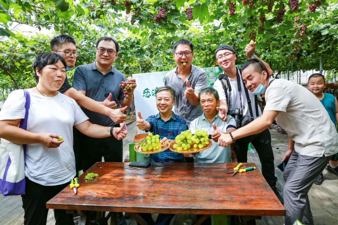 文旅资讯站|慈溪市第十六届葡萄节暨灾后复产现场会顺利举行
