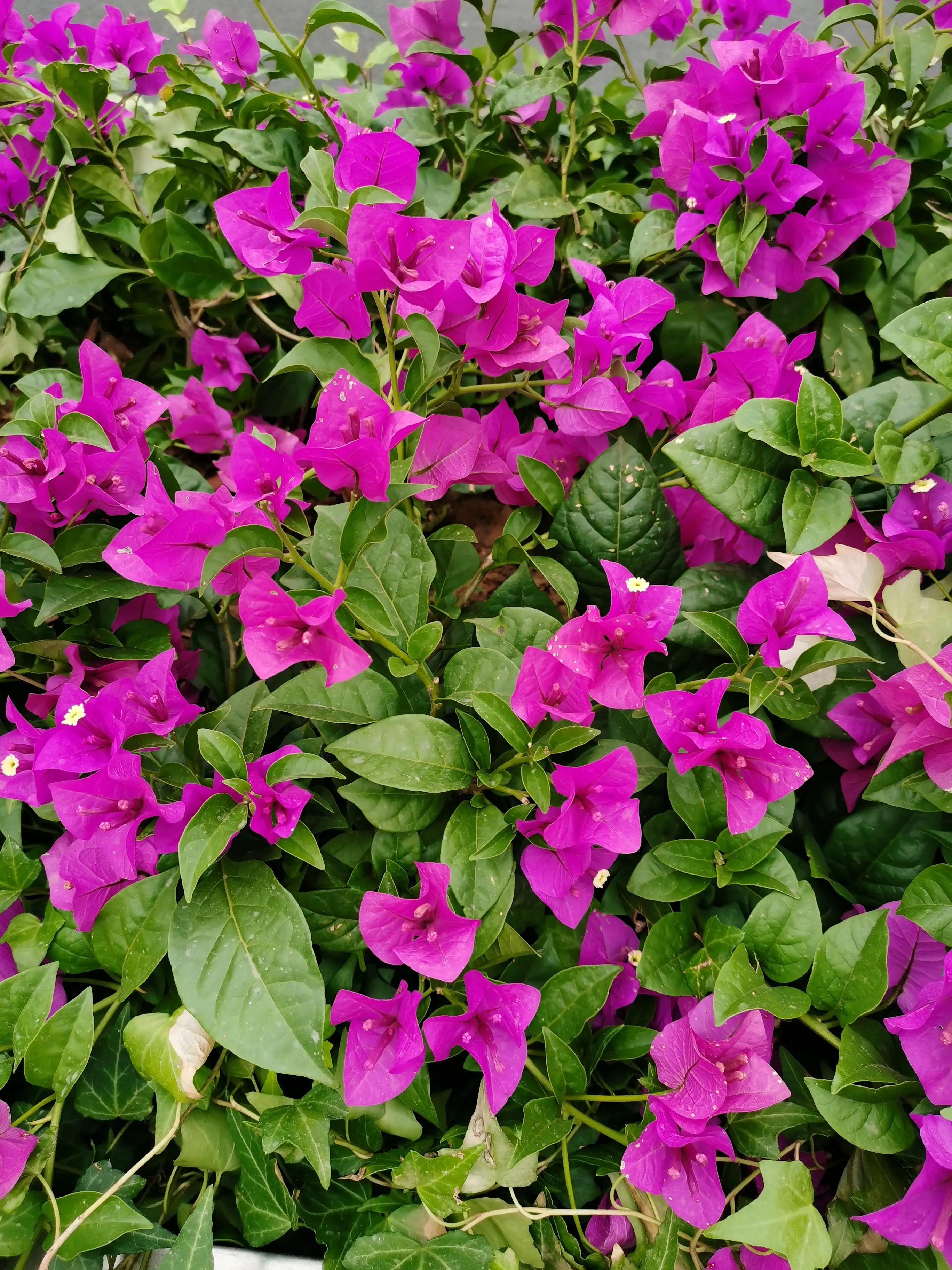 武汉洪山广场相亲角,武汉洪山广场酒店