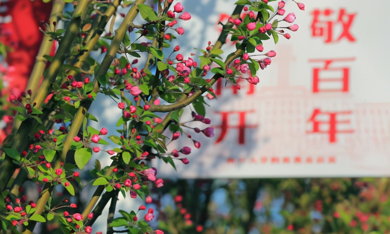 全球热议！南开大学取得重大成果，预计可为全国减少经济损失超过200亿元！