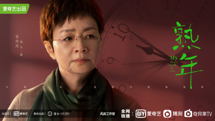 爱奇艺热播剧单,李现王一博最新电视剧