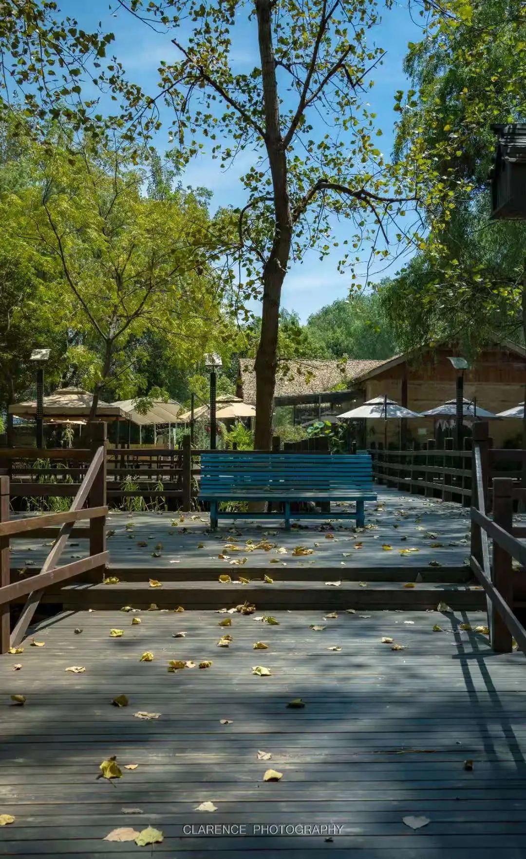 苏州小众却很棒的地方,五一来苏州必去的打卡地