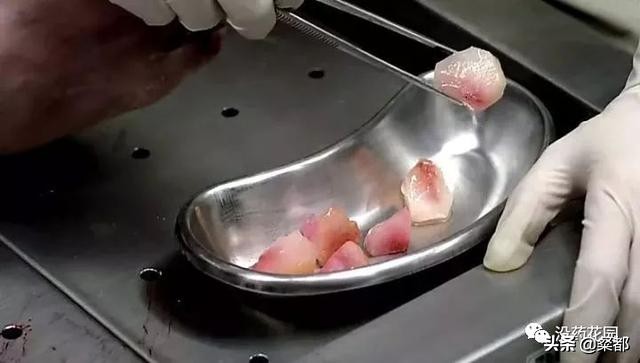 韩国真实命案电影解说,韩国三大悬案华城连环杀人案下集