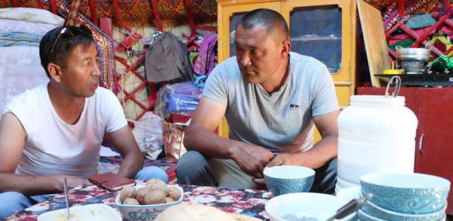 神奇的驼奶粉,神奇的驼奶央视报道