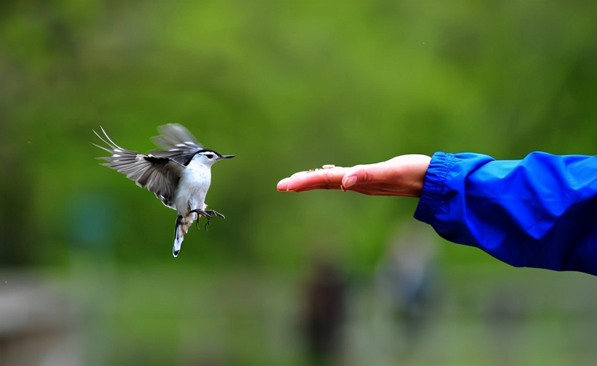 骑手代买代送,骑手代餐食品