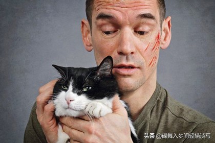 家中调皮.捣蛋性格的猫咪该如何养？4种方法帮您理清，更懂猫