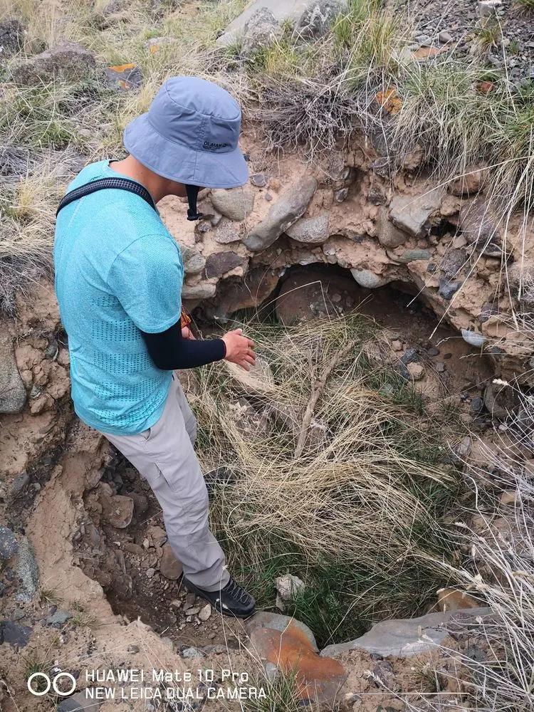 天狼之路是否值得一走,传说中的天狼