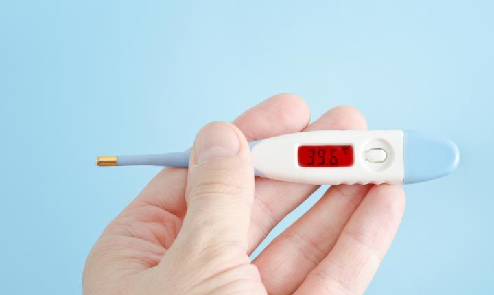 宠物狗感冒流鼻涕吃点什么药,小狗狗干鼻子流鼻涕怎么办