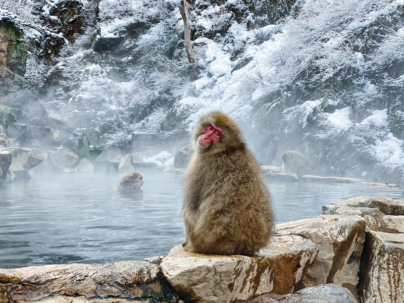 日本小众路线冬,日本冬天观光公路