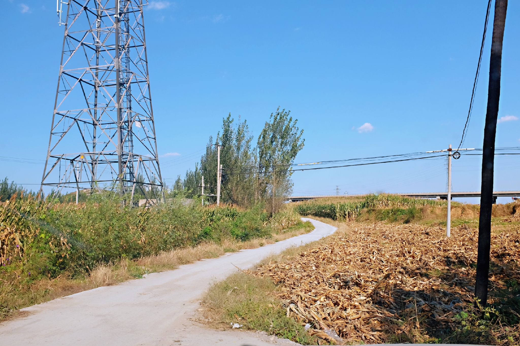 到了北戴河之后怎么去海滨浴场,北戴河怪楼奇园景区今天可以玩吗