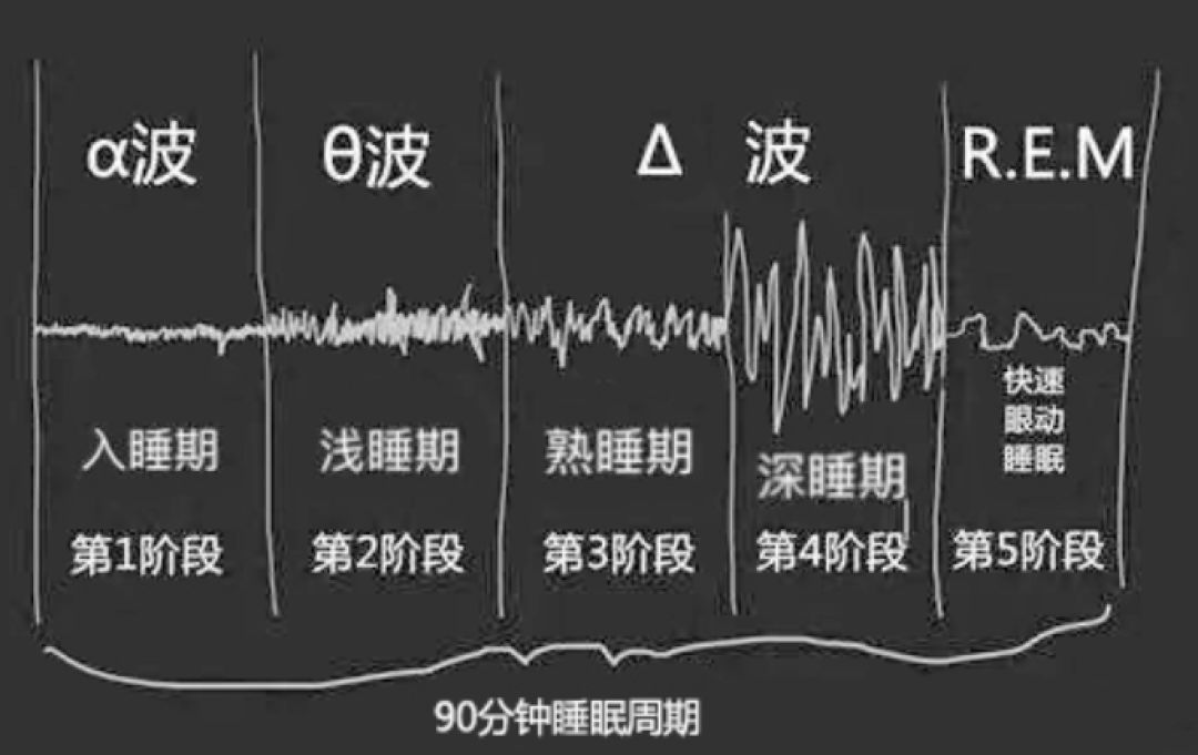 怎样才能睡个好觉不做梦,怎样能睡好觉