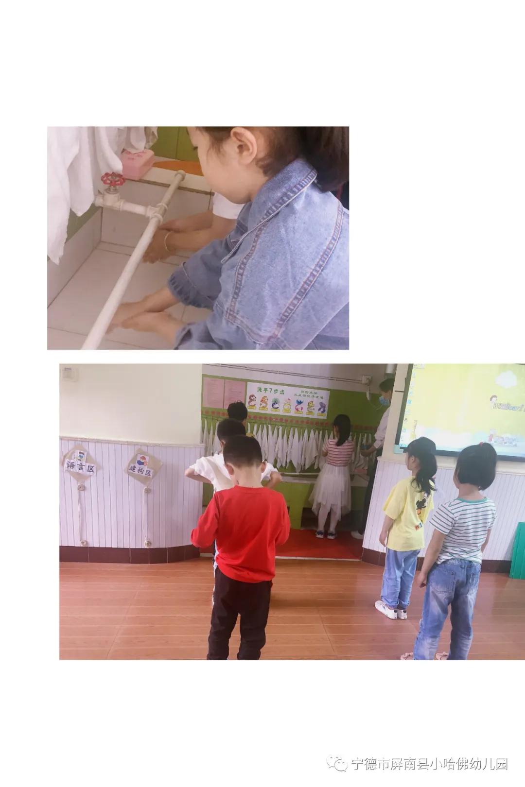 宁德小哈佛幼儿园,宁德蕉城区小哈佛幼儿园