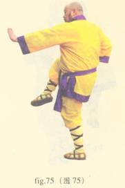 少林心意门拳视频教程,少林长护心意拳图解