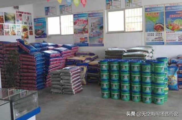 种100亩玉米利润多大,在农村种100多亩玉米能卖多少钱