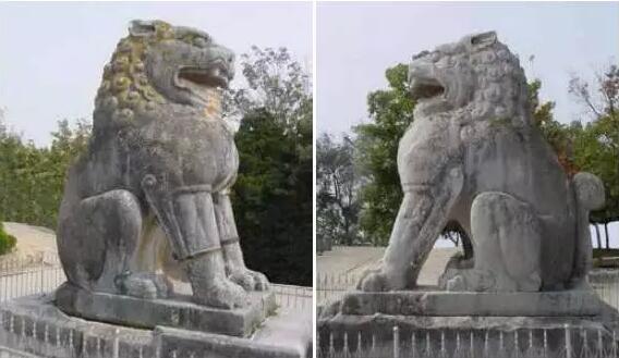 读许海涛的《残缺的成全》有感