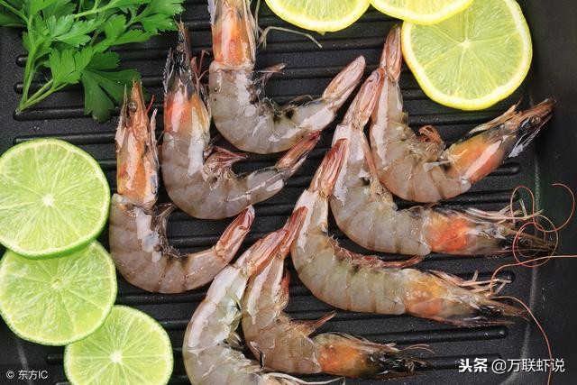 南美白对虾现在怎么样,了解南美白对虾和水质参数