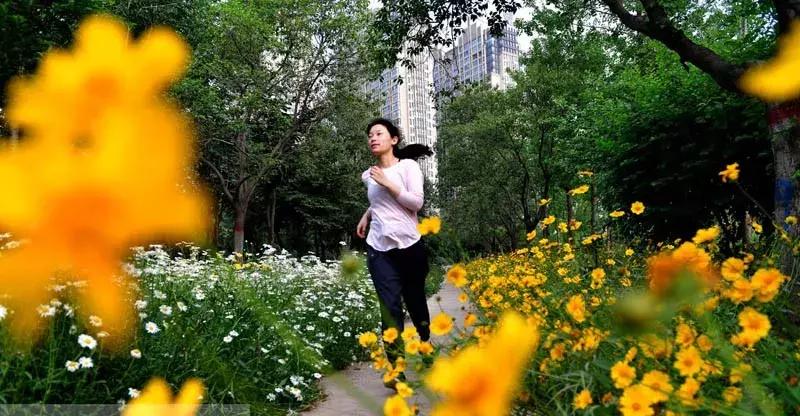 洛阳适合休息的公园,洛阳免费公园景点大全