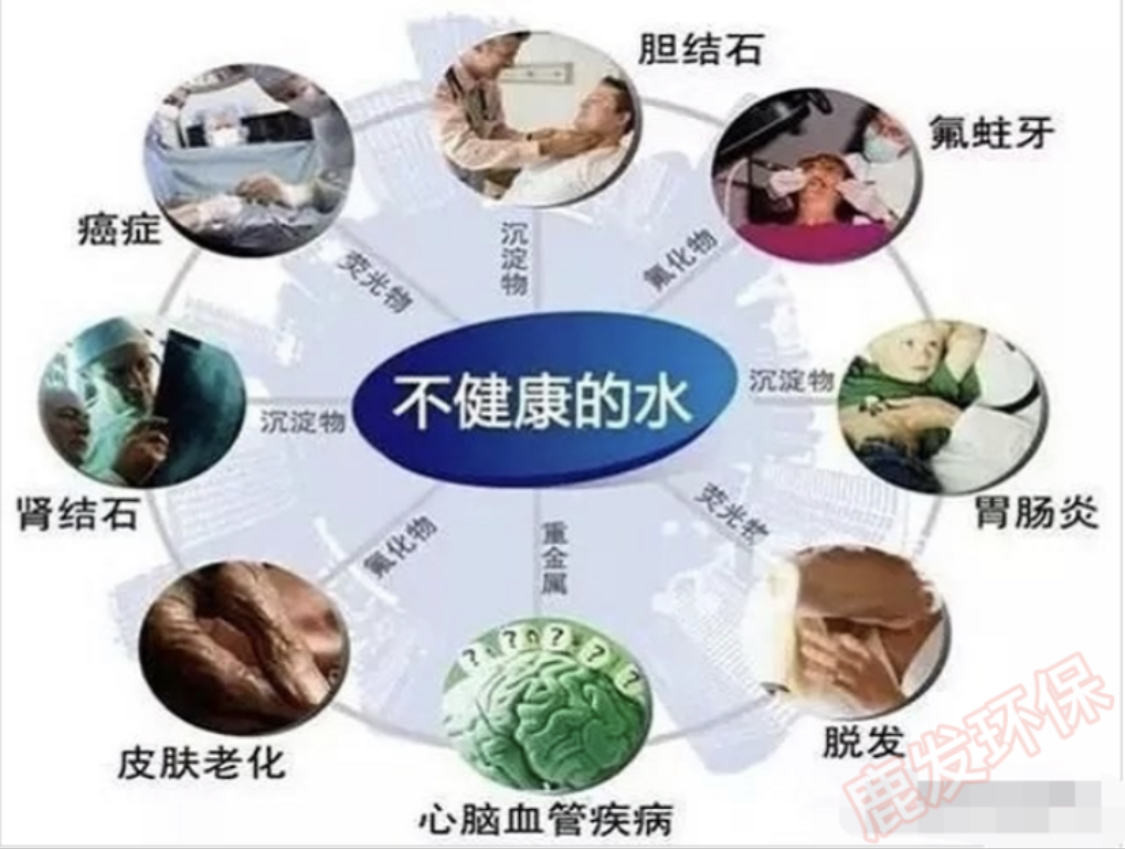 适合农村的创业小项目有哪些,适合回老家创业的项目