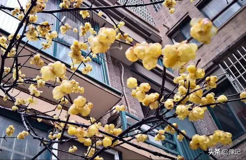 把故事讲给别人听,把故事讲给后来的人听