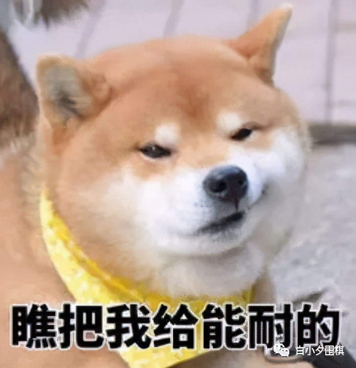 围棋点三三老定式被淘汰了吗,被ai重新定义的围棋定式