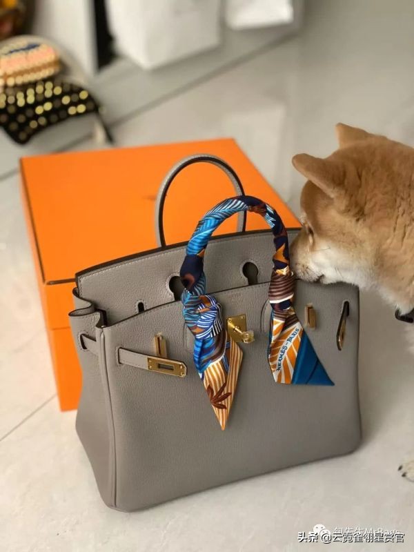 好看又大的宠物包,超好看的宠物包