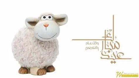 中东疫情最为严重地方,中东有没有受疫情影响