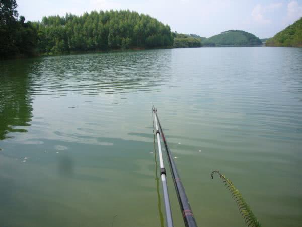 广东钓土鲮鱼用多大的子线和钩子,南宁用什么饵料钓土鲮