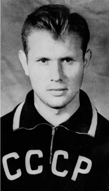 哈兰德和罗纳尔多数据,世界杯贝利罗纳尔多