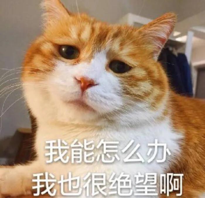 分手了挽回一直被拒绝怎么办,怎么挽回被拒绝的相亲男