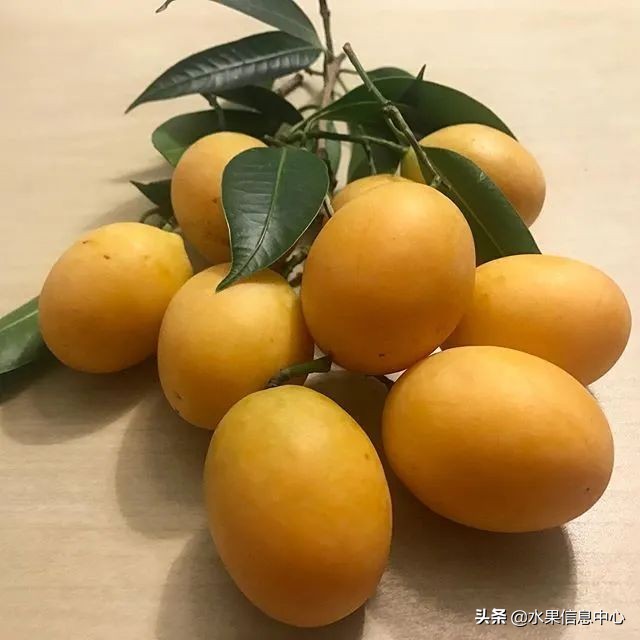 西双版纳水果市场榴莲 (上海亚洲最大的水果批发市场榴莲)