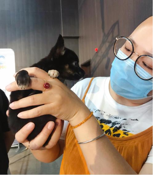 宠爱嘉年华平阳,宠爱嘉年华完整版