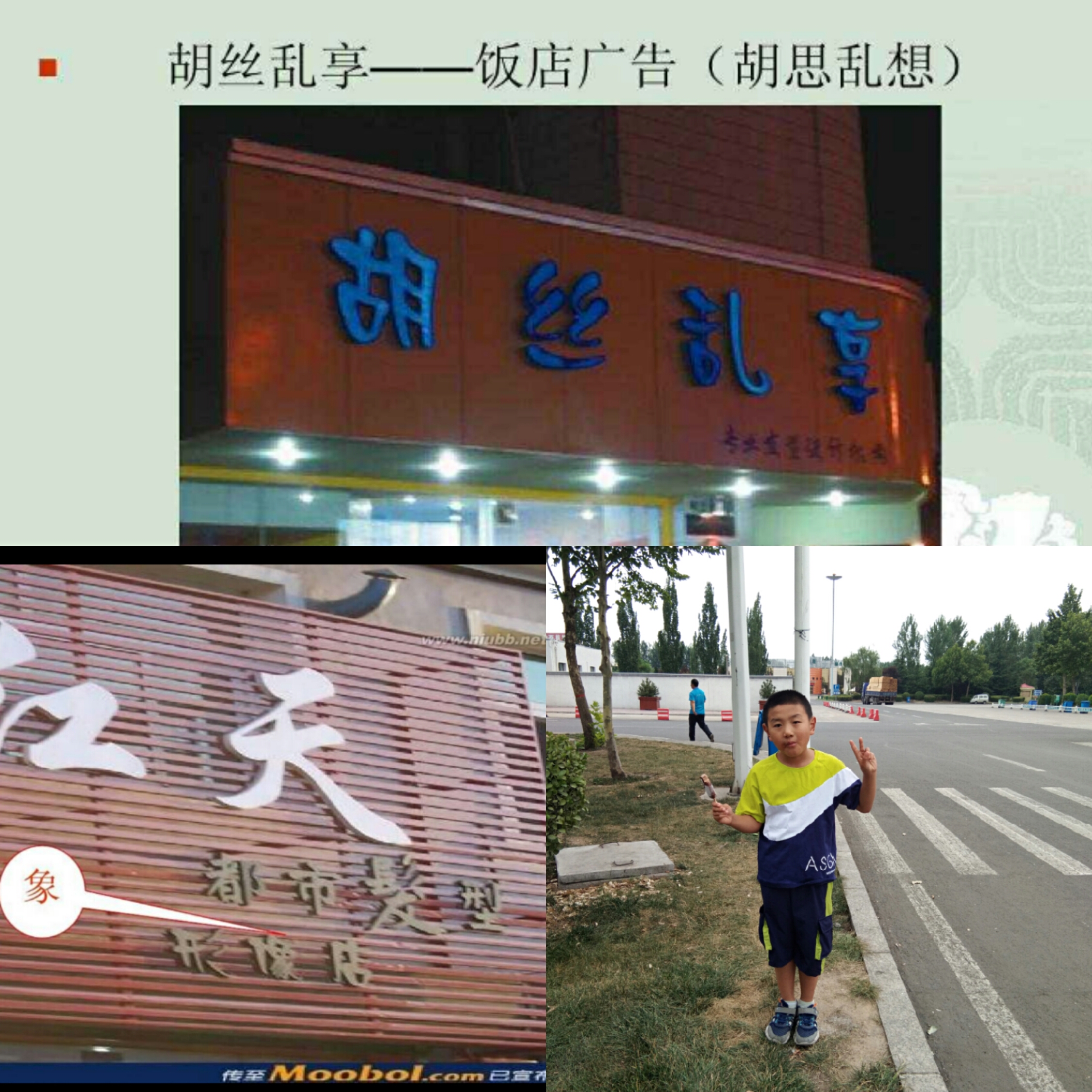 小学啄木鸟行动校外纠正错别字,啄木鸟找错别字实践活动